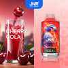 JNR Falcon X 18000 Puffs Einweg Vape (Schachtel mit 10 stück)