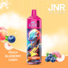 JNR Alien 10000 Züge Einweg Vape (Schachtel mit 10 stück)