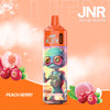 JNR Alien 10000 Züge Einweg Vape (Schachtel mit 10 stück)