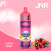 JNR Alien 10000 Züge Einweg Vape (Schachtel mit 10 stück)