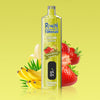 REndM Shisha 25000 Züge Einweg Vape (Schachtel mit 10 stück)