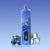 REndM Shisha 25000 Züge Einweg Vape (Schachtel mit 10 stück)