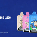 RAndM Digital Box 12000 Anleitung